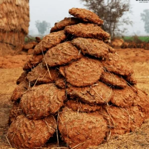 Cow Dung Cake (Goitha): Pack of 30pc